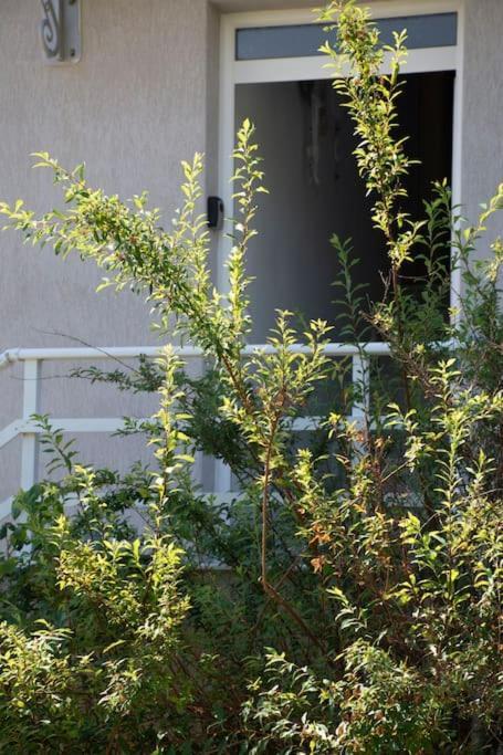 شقة Anadora 2: Hospitable Stone House With Yard أليكسانثيربوليس المظهر الخارجي الصورة